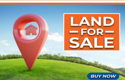 land for sale.