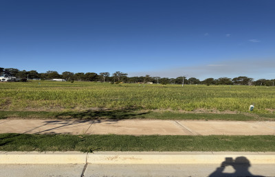 300m² Land | 12m Frontage | Prime Austral Location